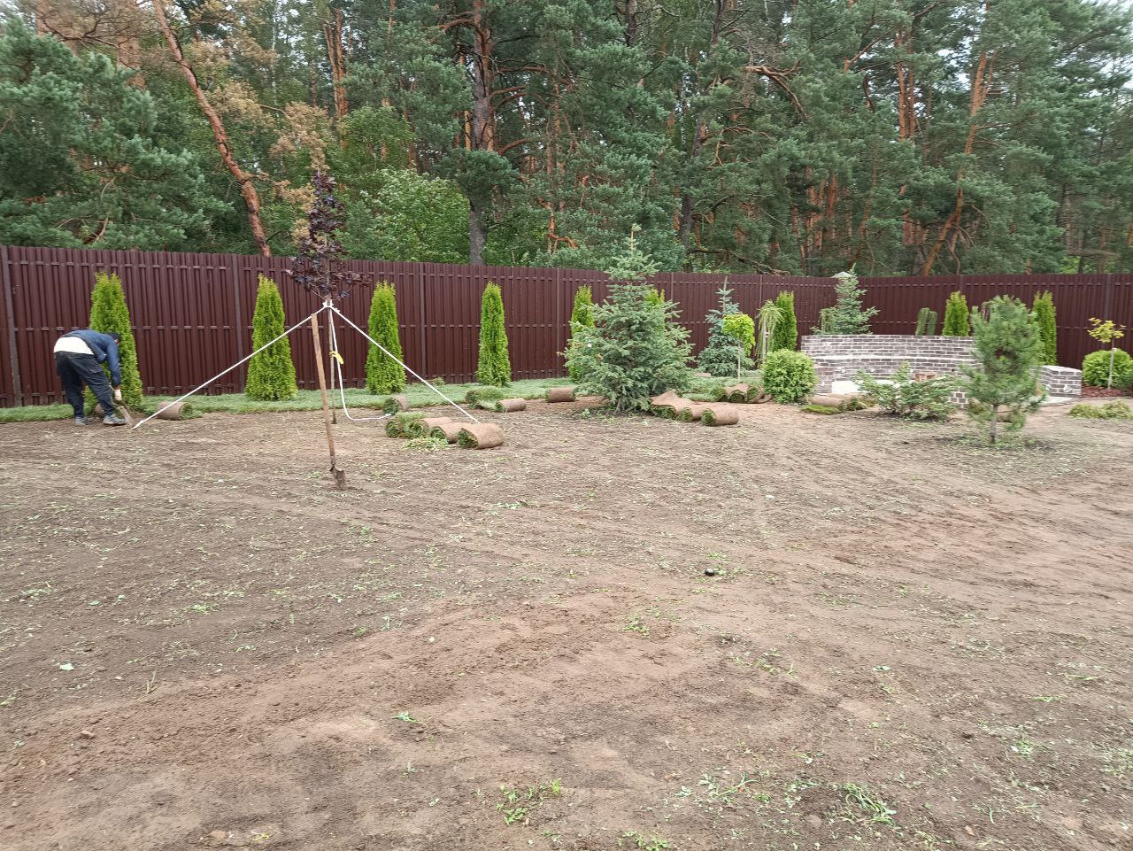 Заголовок